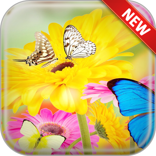 Butterfly Wallpapers icon