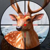 Deer hunter : Hunting clash - Hunt deer 2021