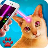 Laser pointer. cats