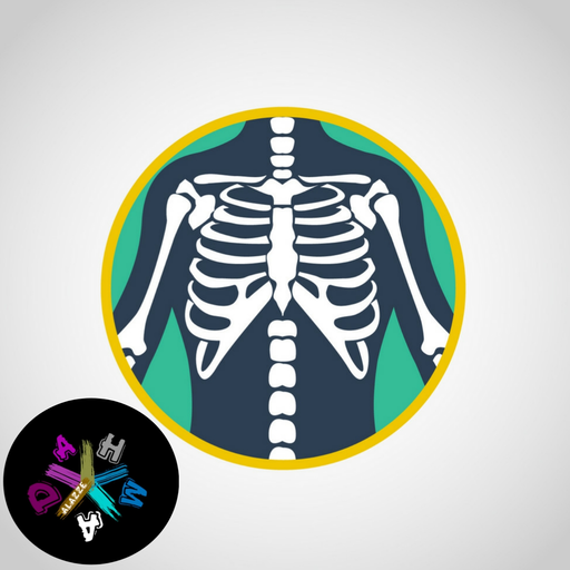 Position x-ray icon
