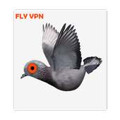FLY VPN