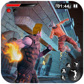 Paul Street Fighting - Superhero Fighting Game icon