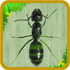 I'm not granny. Im Ant! The Ant King , Rise! icon