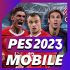 peS pro 23 soccer riddle icon