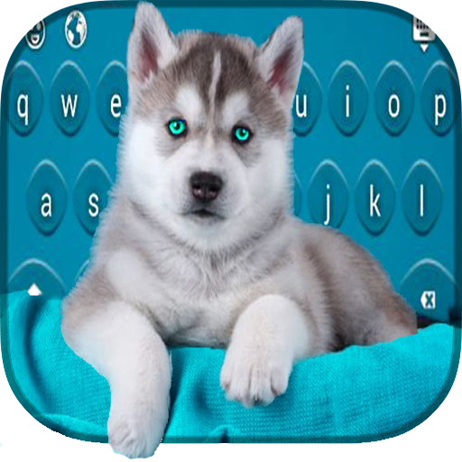 Siberian Husky Puppies Keyboard icon