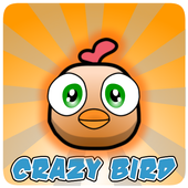 Crazy Bird icon