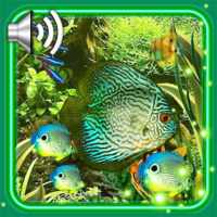 Aquarium Fishes LWP on 9Apps