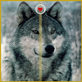 Wolf Zipper Screen Lock icon