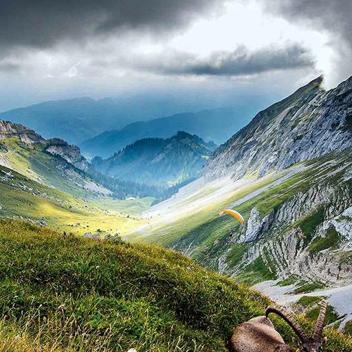 Fresh Nature Wallpapers icon