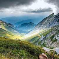 Fresh Nature Wallpapers on 9Apps