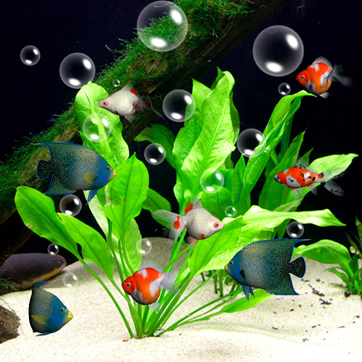 Aquarium Live Wallpaper 3D icon