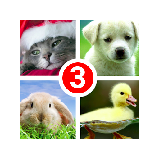 Guess the word 3! ~ 4 Pictures icon