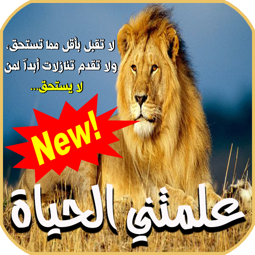 علمتني الحياة حكم وعبر أيقونة