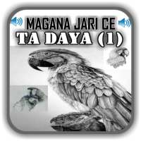 Magana Jari Ce Ta Daya (1) - Audio Mp3