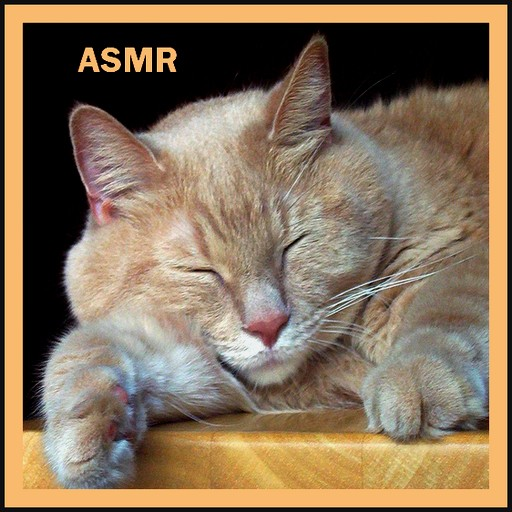 Purring Cat Sound icon