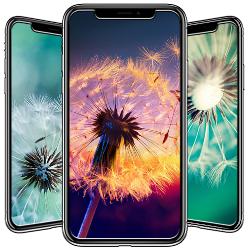 Dandelion Wallpaper icon