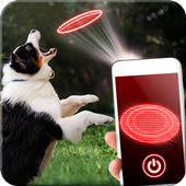 Hologram for dog joke icon