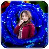 Blue Rose Photo Frame on 9Apps