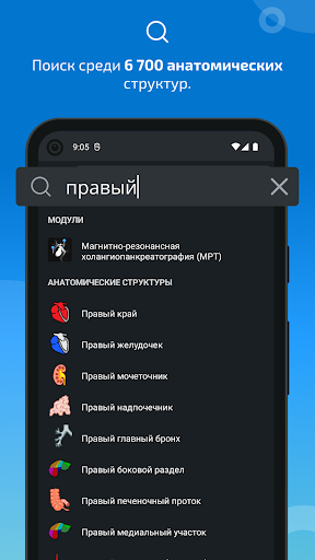 e-Anatomy скриншот 3