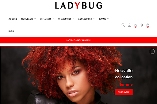 Ladybug screenshot 5