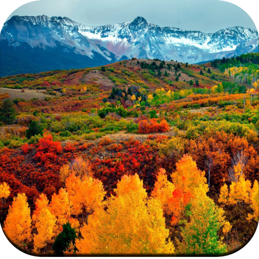 Autumn wallpaper icon