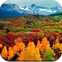 Autumn wallpaper on 9Apps