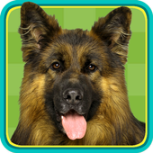 Dog Puzzle icon