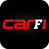 CAR F1 2014