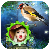 Birds Photo Frames HD icon