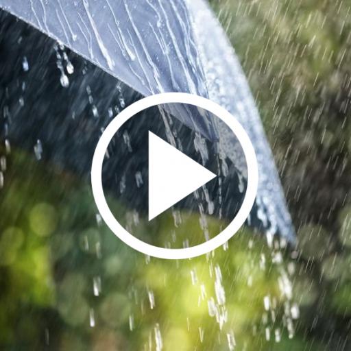 Rain Video Live Wallpaper icon