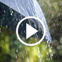 Rain Video Live Wallpaper
