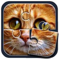 Cat Puzzle World