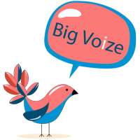 Bigvoize - on 9Apps