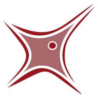 Rocstar TV (Android TV)