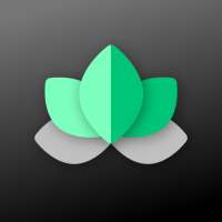 Ornate for KWGT Pro on 9Apps