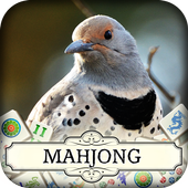 Hidden Mahjong: Winter Birding icon