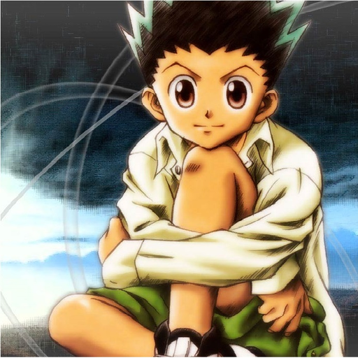 Hunter x Hunter anime icon