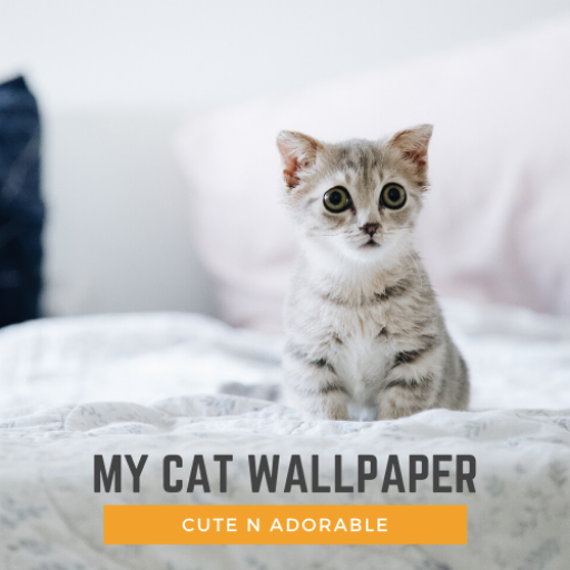 MyWALL Cute Cat Wallpaper icon