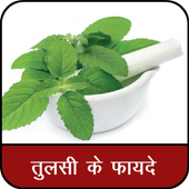 Tulsi ke Fayde : तुलसी के फायदे icon