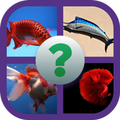 fish identifier game: identify fish and win coins icon