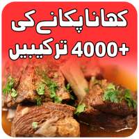 Pakistani food Urdu recipes