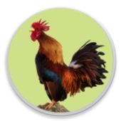 Modern Igbo Calendar иконка