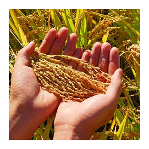 কৃষকের অ্যাপ icon