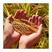 কৃষকের অ্যাপ on 9Apps