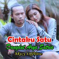 Cintaku Satu - Lagu Dangdut Arya Satria Offline on 9Apps