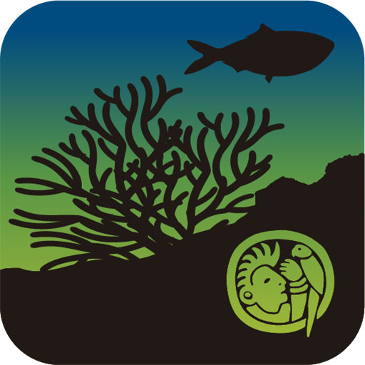 MX VR Arrecifes icon