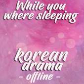 While You Were Sleeping DRAKOR ost on 9Apps