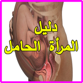 دليل المرأة الحامل أيقونة