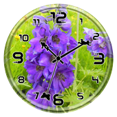 Delphinium Clock Live WP icon