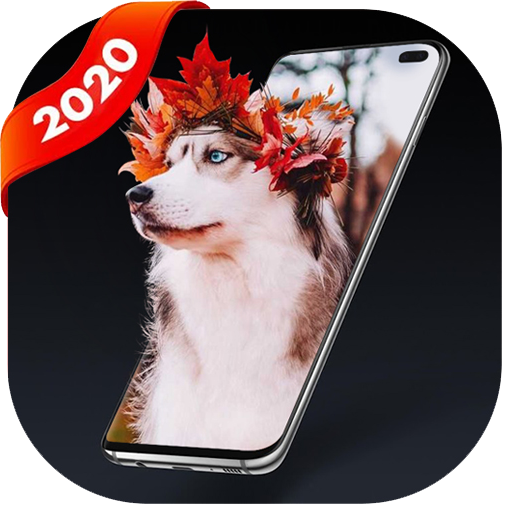 Husky Wallpaper icon